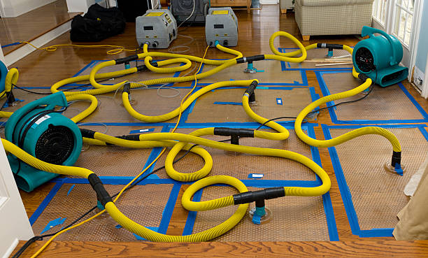 Professional Basement Flood Cleanup technician working in Euless, TX
